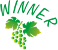Logo WINNER
